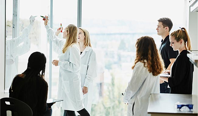 A group of students or researchers are having a discussion while standing in front of a window